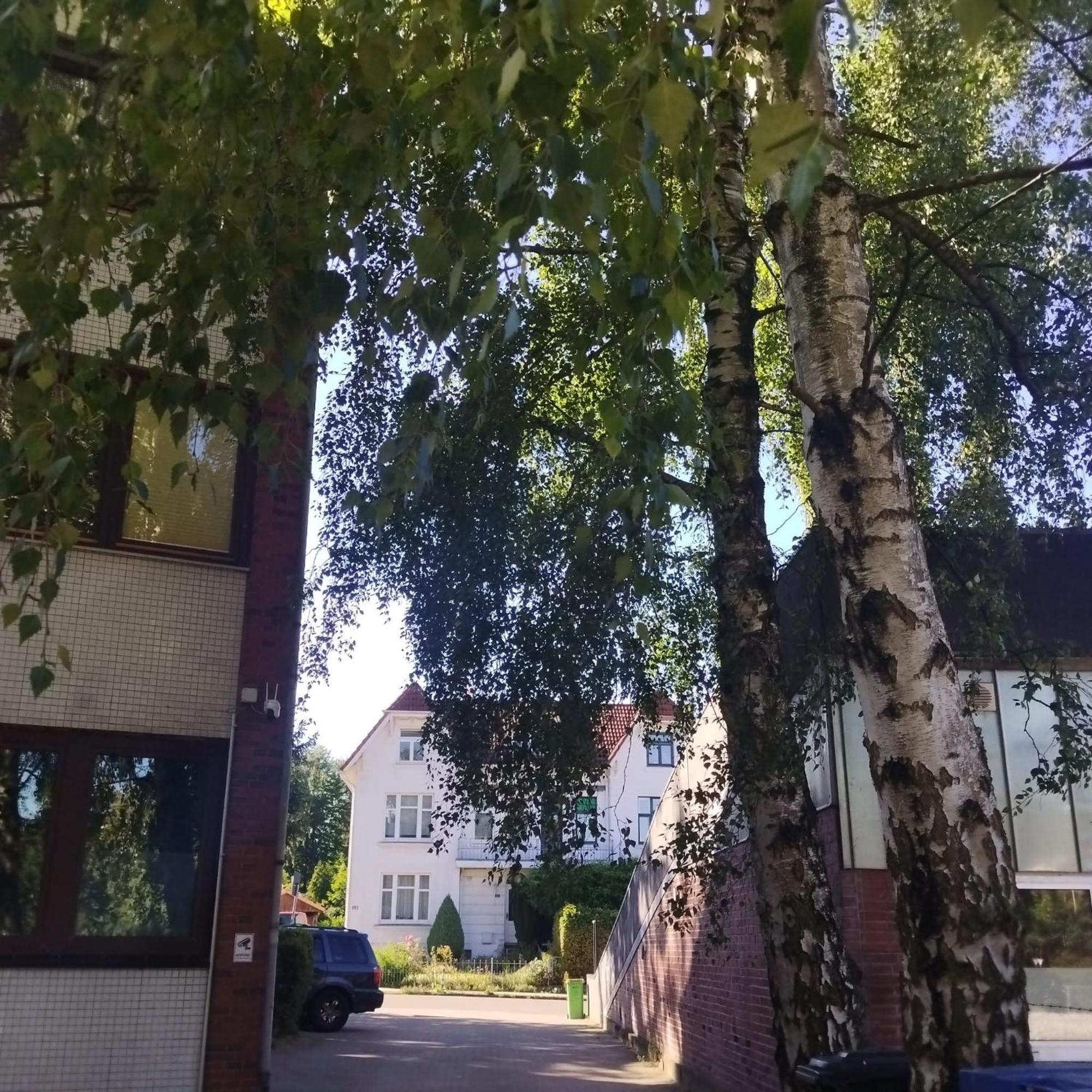 Monteurzimmer In Hamburg West Bei Hansezimmer Bagian luar foto